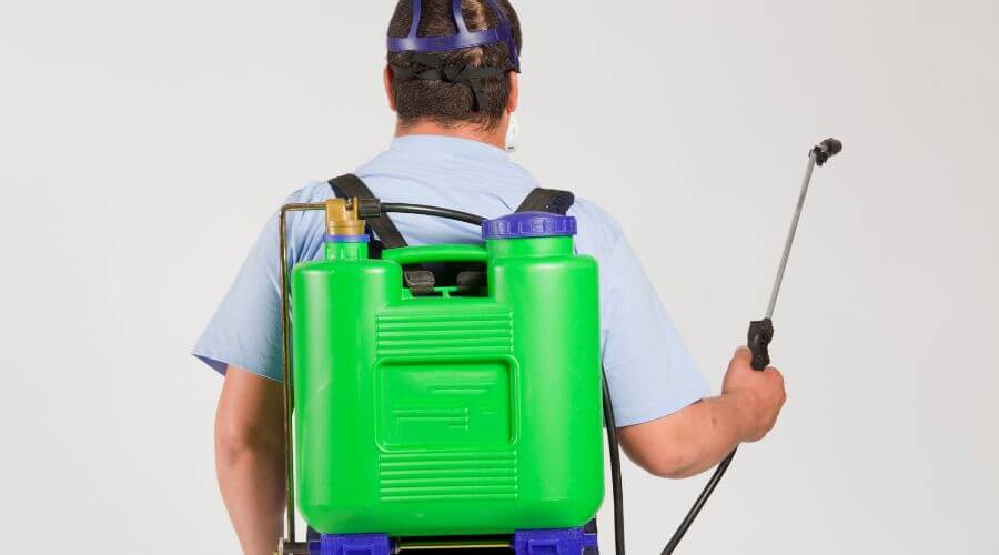 Why choose Valdosta Pest Exterminator Experts for pest control services in Valdosta